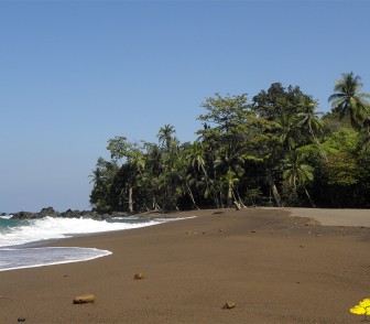 Corcovado sierpe (3)